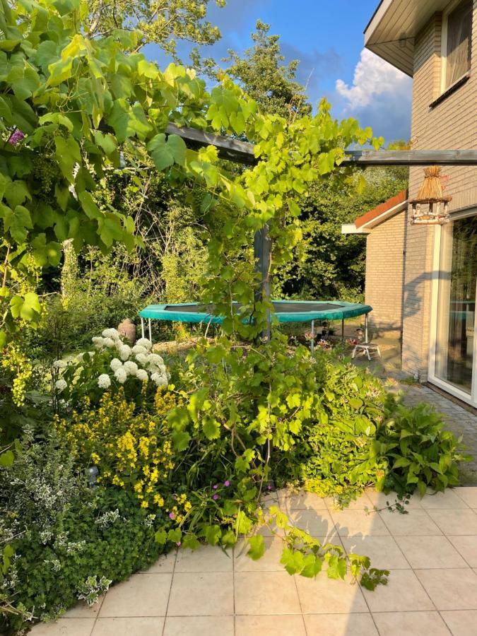 B&B Eibergen met privé zwembad en sauna Esterno foto